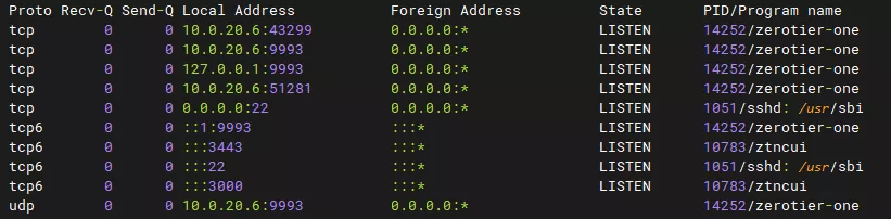 netstat